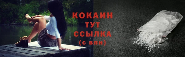 прущие крисы Бородино