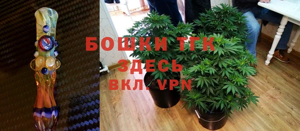 прущие крисы Бородино