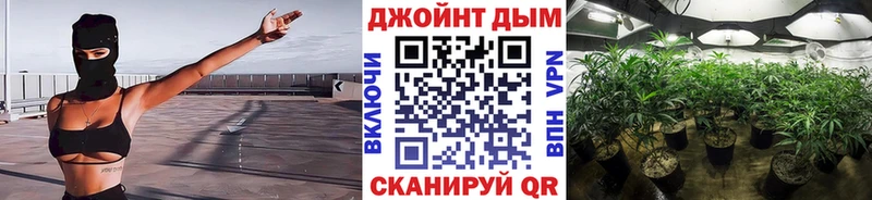 Купить где  Курганинск  Каннабис сатива 